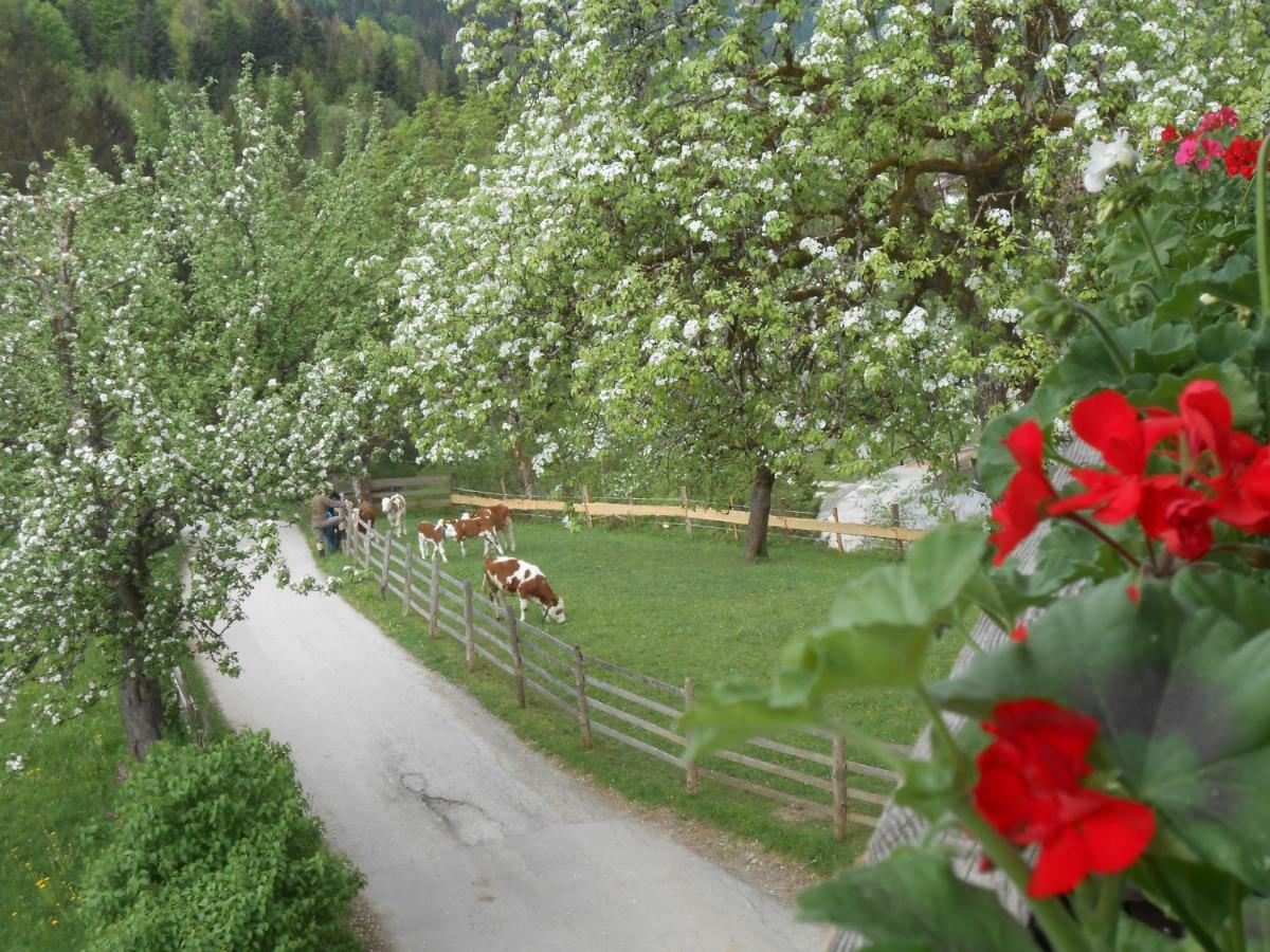 Bio-Bauernhof "Hecherhof" Тирзе Экстерьер фото